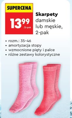Skarpety damskie lub męskie 2-pak promocja w Biedronka