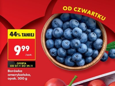 Borówka amerykańska, opak. 300 g promocja w Biedronka