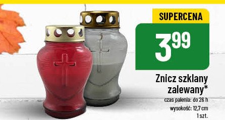 Znicz zalewany promocja