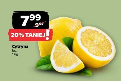 Cytryna Netto promocja w Netto