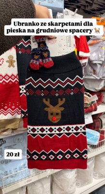 Sweter i skarpetki dla psa promocja w Pepco