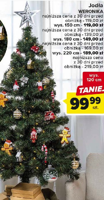 Jod艂a weronika 150 cm promocja