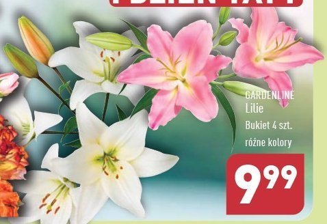 Bukiet lilie GARDEN LINE promocja