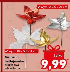 Gwiazda betlejemska brokatowa promocja w Kaufland