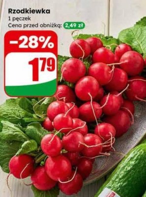 Rzodkiewka pęczek promocja w Dino