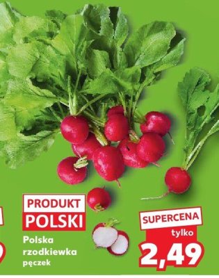 Polska rzodkiewka pęczek promocja w Kaufland