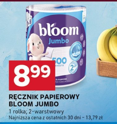 Ręcznik papierowy Bloom Jumbo promocja w Stokrotka