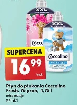 Płyn do płukania sensazione seta Coccolino promocja