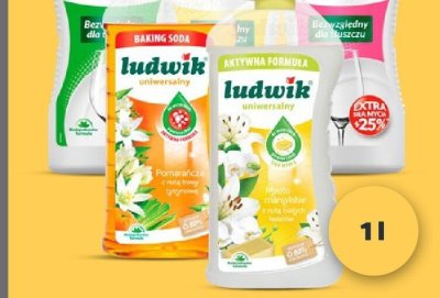 Płyn uniwersalny, różne rodzaje Ludwik promocja w Netto