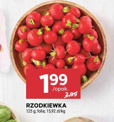 Rzodkiewka promocja w Stokrotka