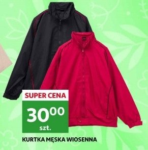 Kurtka męska wiosenna promocja