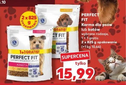 Karma dla psa junior <1 Perfect fit promocja