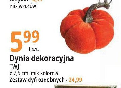 Dynia dekoracyjna 7.5 cm Twj promocja