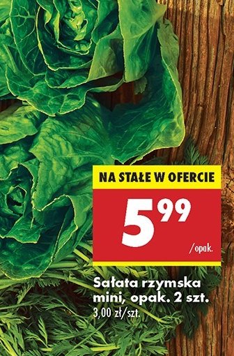 Sałatka rzymska mini promocja w Biedronka