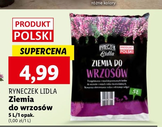 Ziemia do wrzosów Ryneczek lidla promocja