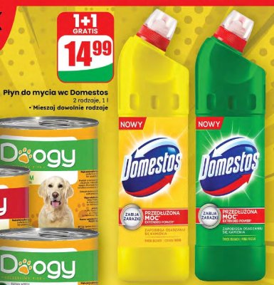 Płyn do mycia wc Domestos promocja w Dino