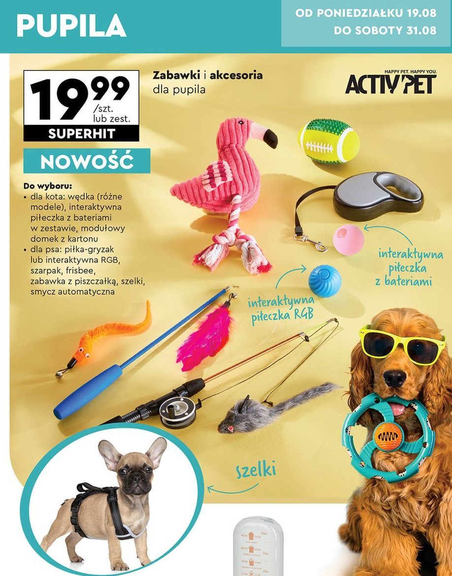 Piłka gryzak Activ pet promocja