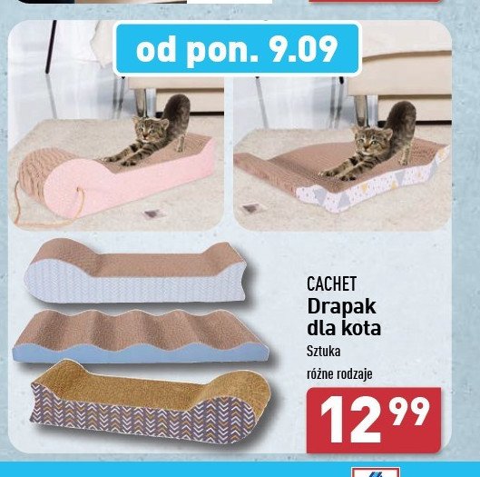 Drapak dla kota Cachet promocja