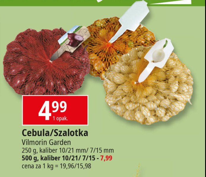 Szalotka żółta Vilmorin garden promocja