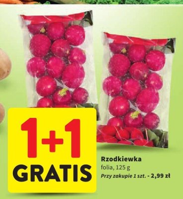 Rzodkiewka folia promocja w Intermarche