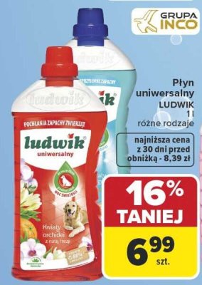 Płyn uniwersalny LUDWIK różne rodzaje promocja w Carrefour