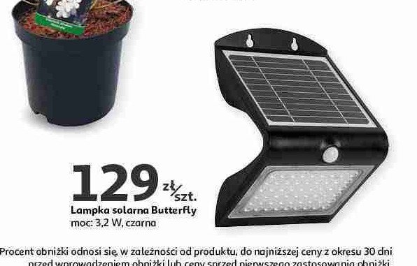 Lapma solarna butterfly Garden star promocja w Auchan