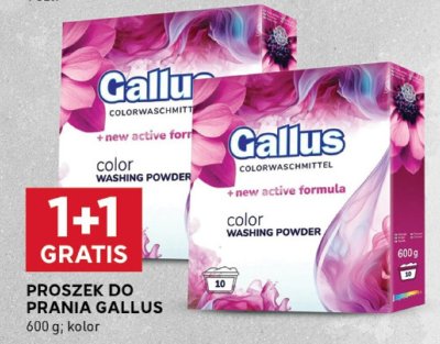 Proszek do prania Gallus kolor promocja w Stokrotka
