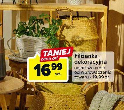 Filiżanka dekoracyjna promocja
