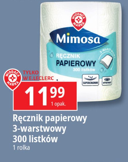 Ręcznik papierowy Wiodąca marka mimosa promocja