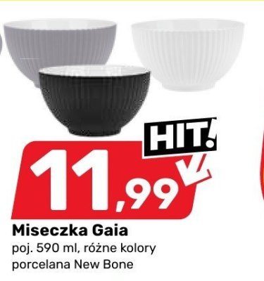 Miseczka promocja w Bricomarche