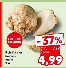 Seler korzeń polska promocja