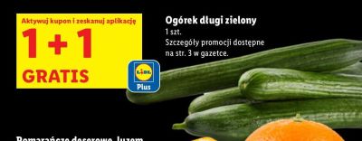 Ogórek długi zielony 1+1 GRATIS promocja w Lidl