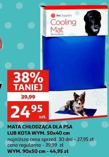 Mata chłodząca dla psa 50 x 40 cm promocja