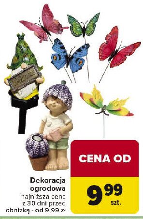 Dekoracja ogrodowa promocja w Carrefour