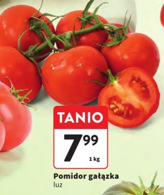 Pomidor gałązka promocja w Intermarche
