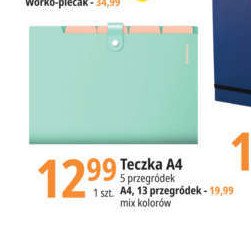 Teczka a4 z kieszeniami 13 przegr贸dek promocja