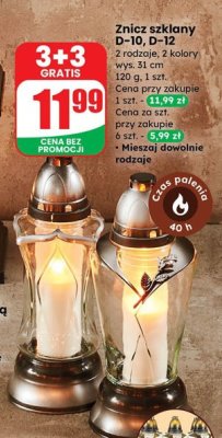 Znicz szklany D-10, D-12 2 rodzaje, 2 kolory wys. 31 cm promocja w Dino
