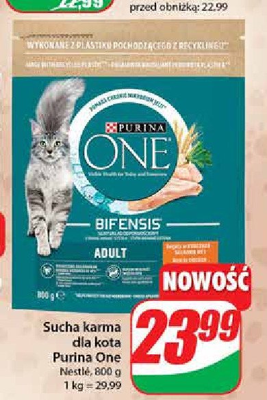 Karma dla kota adult kurczak i pe艂ne ziarna Purina one promocja