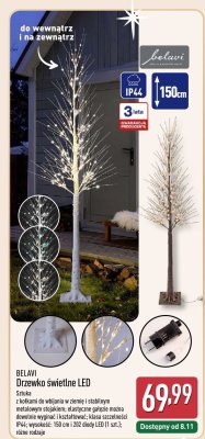 Drzewko świetlne LED  promocja w Aldi
