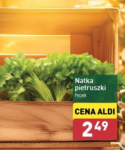 Natka pietruszki promocja