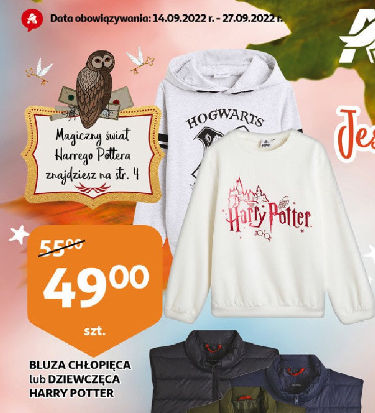 Bluza ch艂opieca harry potter promocja