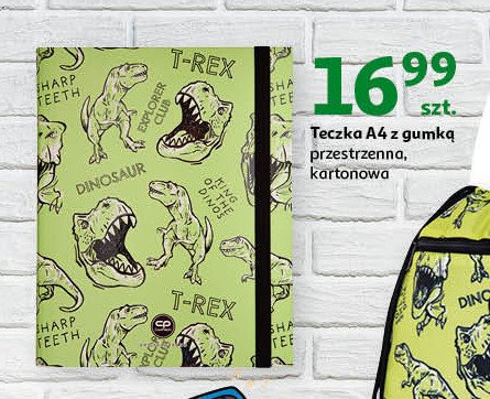 Teczka dino a4 z gumką Coolpack promocja