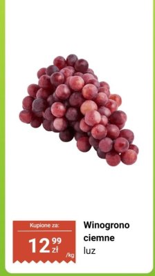 Winogrono ciemne luz promocja w Dino