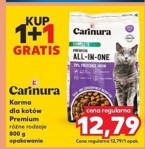 Karma dla kota all in one K-classic carinura promocja