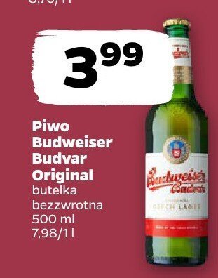 Piwo promocja w Netto