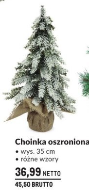 Choinka oszroniona wys. 35 cm promocja w Makro