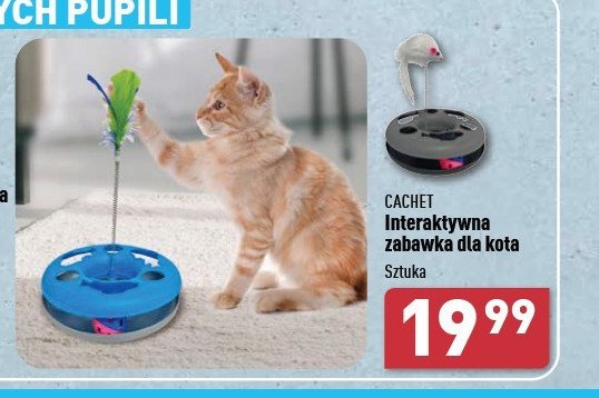 Zabawka dla kota Cachet promocja