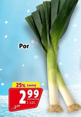 Talerz porcelanowy 20 cm Smukee promocja w Prim Market