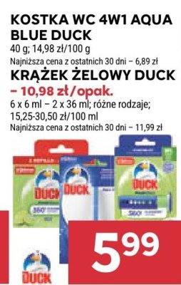 Krążek żelowy Duck promocja w Stokrotka