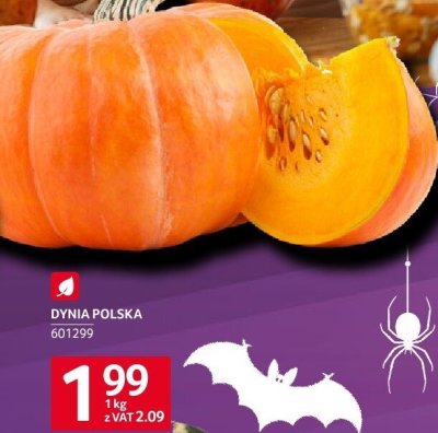 Dynia promocja w Selgros